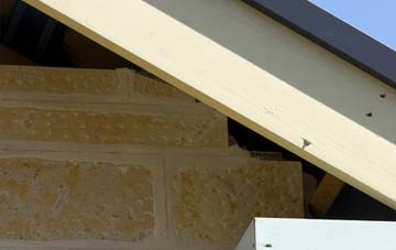 soffit repair Sutton Marsh